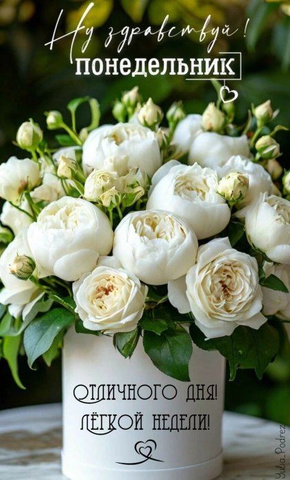 Желаем хорошего понедельника