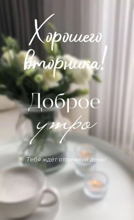 Открытки с пожеланиями мирного вторника