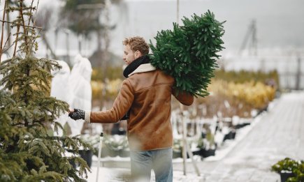 За сколько дней покупать елку: эксперты назвали лучшее время