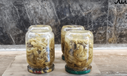 Лучшая осенняя закрутка "кабачки как шашлычки": сколько ни закрой — будет мало (ВИДЕО)