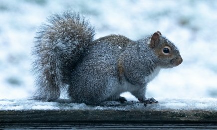 Морозы до -12 на Рождество и снег: какая будет погода в Украине на этой неделе