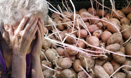 Картофель пустил длинные "усы": как сохранить запасы до посадки и можно ли его есть