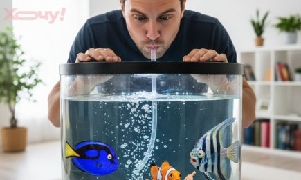 Утром магия новогодней ночи заканчивается и начинается сушняк: мемы и приколы о похмелье и 1 января