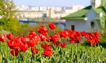 Где провести выходные 27-28 апреля в Киеве?