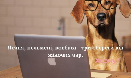 З часом шлунок холостяка набуває форми пачки пельменів: приколи, анекдоти та меми про холостяків