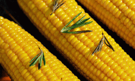 Консервируем кукурузу в початках