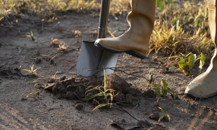 Выкопали яму и проснулись? Прорицатели рассказали, что может случиться после этого сна