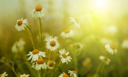 Нове свято в календарі: що українці відзначають 21 травня 2025 року