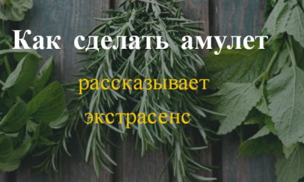 Травы, которые способны вас уберечь: создаем саше-амулет по советам экстрасенса Максима Гордеева