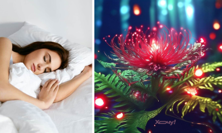 Наснилася квітка папороті? Віщуни розповіли, що чекати