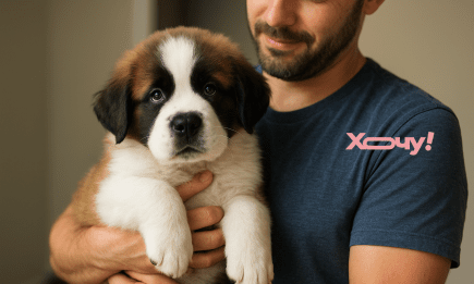 Не "ламайте" собі голову: 50 цікавих варіантів кличок для вашого собаки