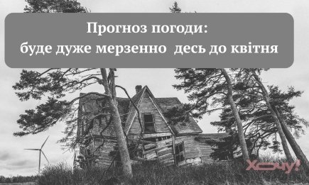 Дождь внутри дождя после дождя: мемы и приколы о синоптиках
