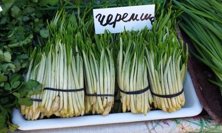 Український суперфуд під забороною: Клопотенко закликав до “легалайзу”