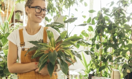 Навіщо фотографувати кімнату перед покупкою рослини: корисні поради, яких ви більше ніде не дізнаєтесь