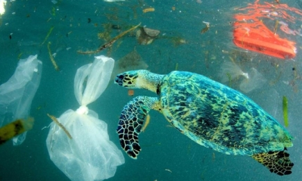 Пугающие цифры: ученые обнаружили 200 миллионов тонн пластика в Атлантическом океане