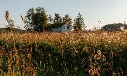 Почему жители сел чувствуют себя счастливее жителей мегаполисов