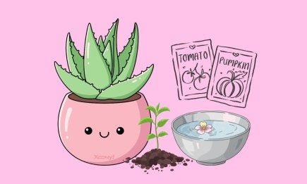 Овощи будут расти как сумасшедшие: вот в чем нужно замочить семена на несколько часов