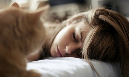 Хватит спать: ученые рекомендуют 6 часов сна