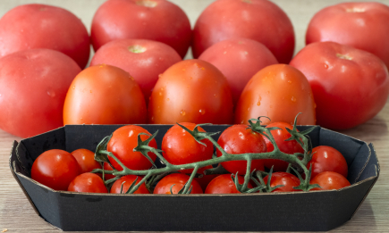 Цікавий спосіб зберегти помідори свіжими: довго не зіпсуються та не згниють