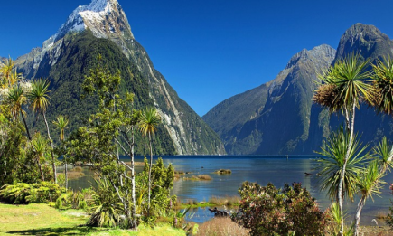 Скалистые побережья, аборигены и сказочные пещеры — зачем ехать в Новую Зеландию