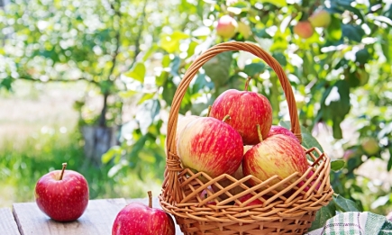 Яблучний Спас: як душевно привітати зі святом у віршах та своїми словами