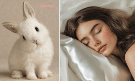 До чого приснився кролик: тлумачення сну від Ванги, Міллера, Нострадамуса та інших відомих ясновидців