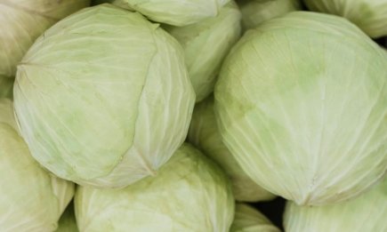 Даже в квартире есть целых 4 места для хранения капусты: пролежит всю зиму без погреба