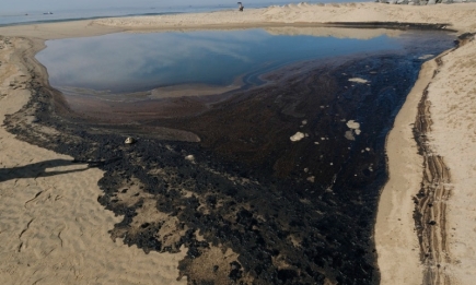 Экологическая катастрофа: в Калифорнии в океан попало более полумиллиона литров нефти (ФОТО)