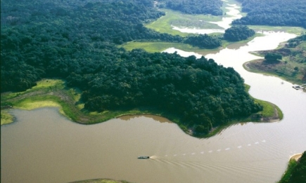 Леса Амазонки скоро полностью исчезнут