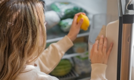 Как убрать запах из холодильника: комплексный подход к решению проблемы