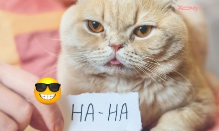 Желаю 100 поводов для улыбки и 0 — для скуки! Прикольные поздравления и забавные открытки с 1 апреля