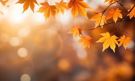 Сентябрь 2025: какие государственные и профессиональные праздники будут в Украине в первый месяц осени