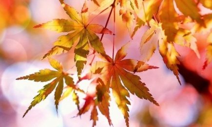 23 сентября  — День осеннего равноденствия 2018: приметы и суеверия