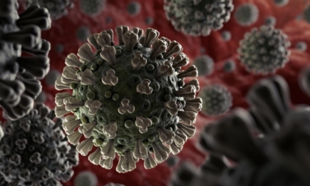 ВОЗ зафиксировали штамм коронавируса "Лямбда" более чем в 30 странах
