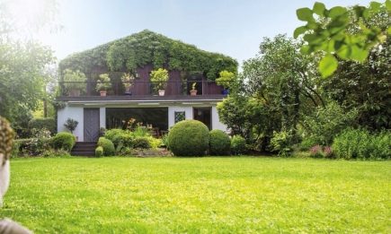 Якщо мрієте про розкішний газон: як правильно сіяти траву на подвір’ї