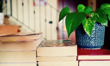 Обнаженные писатели и Сад наслаждений: ТОП-5 книг, которые вас удивят