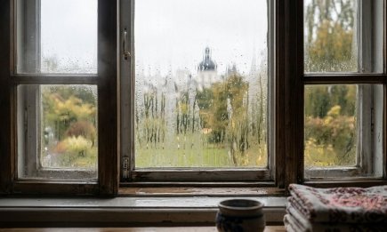 Копеечный способ вместо дорогих осушителей: что нужно поставить на подоконник против запотевания окон