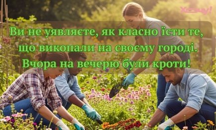 Сосед поставил в огороде такое чучело, что вороны принесли прошлогодний урожай: анекдоты о даче и грядках