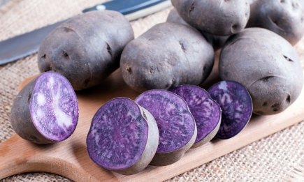 Ця “космічна” картопля чудово росте в Україні: найкращі фіолетові сорти
