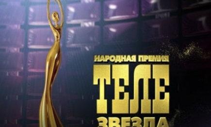 Телезвезда-2013: названы победители премии