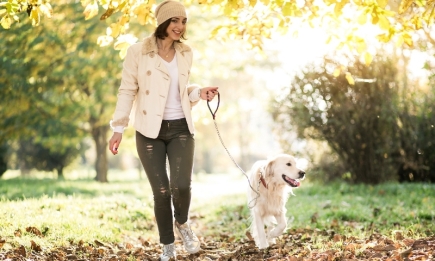 Будьте обачними: 10 небезпек, що підстерігають вашого собаку восени