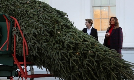 Белый дом готовится к праздникам: Мелания Трамп с сыном проконтролировали установку рождественской елки (ВИДЕО)