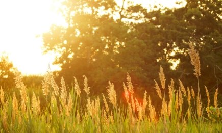 Бабье лето возвращается: где украинцы почувствуют до +22°C в конце октября