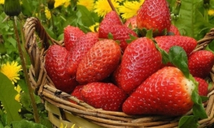 Уход за кожей летом: фруктовые и овощные маски