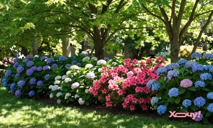 Они не боятся тени: 7 цветов, которые прекрасно растут под деревьями