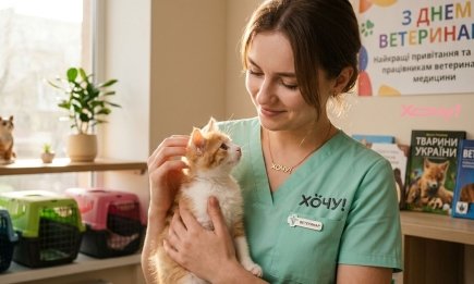 С Днем ветеринара! Лучшие поздравления и благодарности работникам ветеринарной медицины