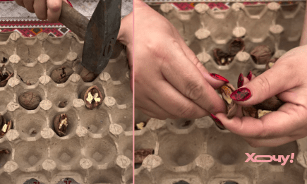 Берем лоток из-под яиц и чистим сразу все орехи: трюк для быстрого раскалывания (ВИДЕО)