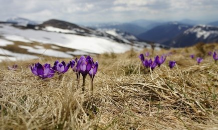 Погода на март 2026: можно ли уже прятать зимнюю одежду