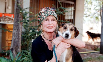 Стало известно, где похоронили Бриджит Бардо (ФОТО, ВИДЕО)