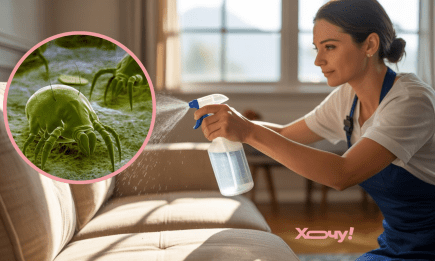 Самодельное средство от пылевых клещей: спасут специи из вашей кухни